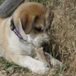 Meet your Posher, Johanne